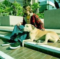 Emerica Dickson Black White Gold -Cheap High Tops Store EmericaDicksonBlackWhiteGold2 800x